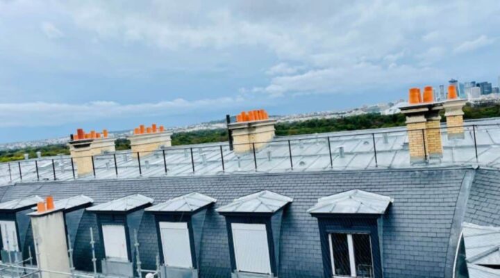 Toits en ardoise avec cheminées et ouvrier, ville en fond.