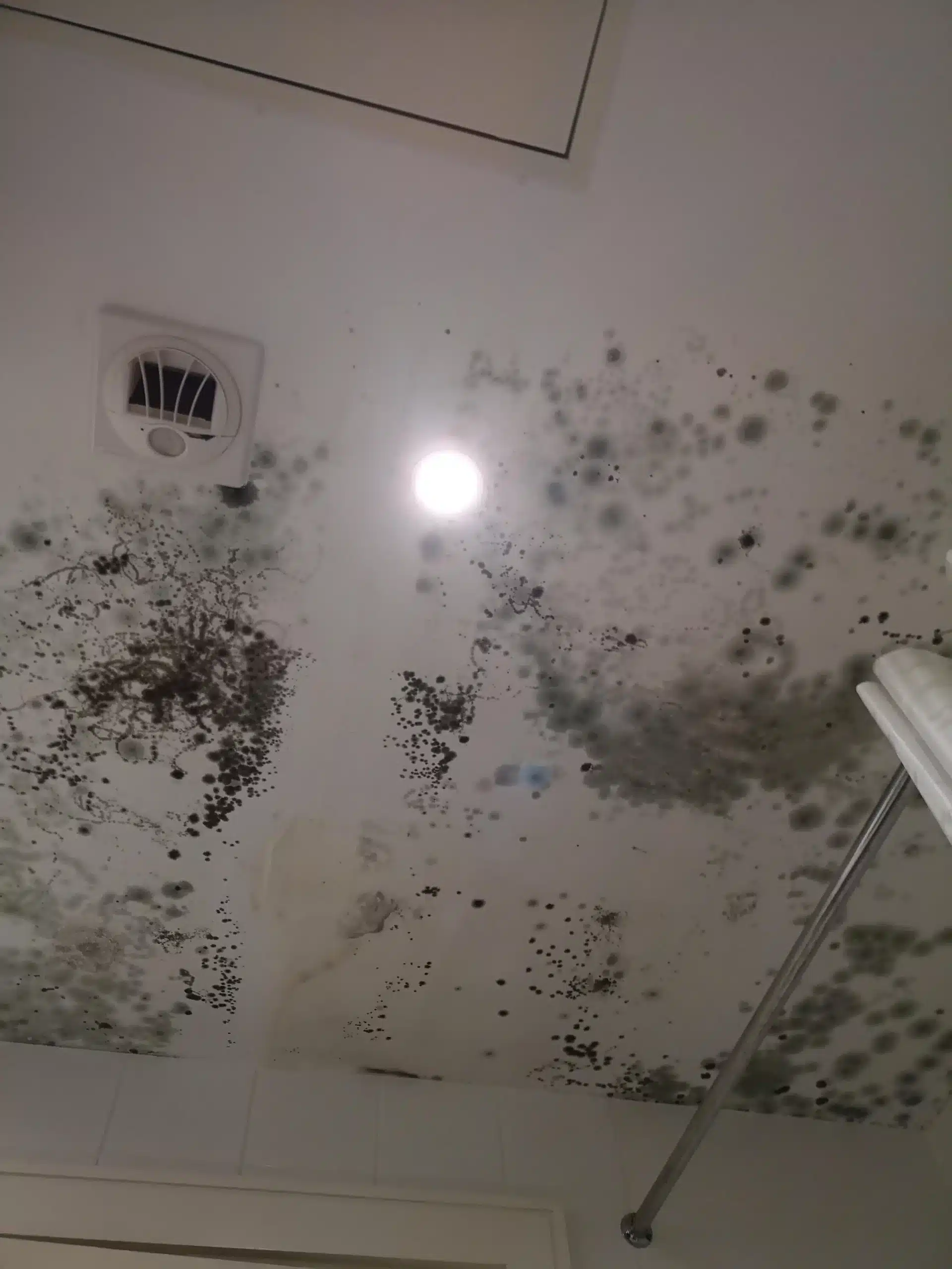 Plafond avec moisissure et ampoule allumée.