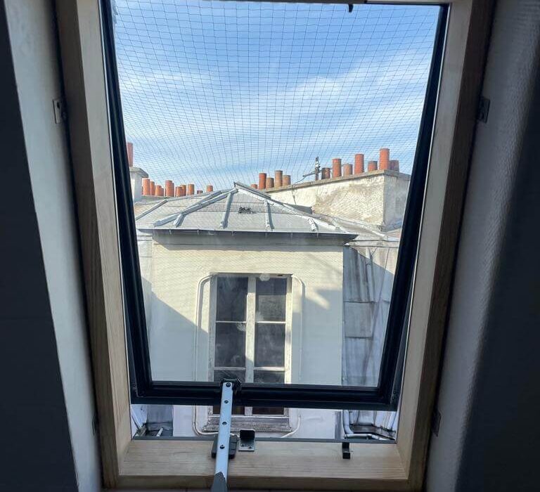 Vue sur toits par fenêtre mansardée et ciel bleu.