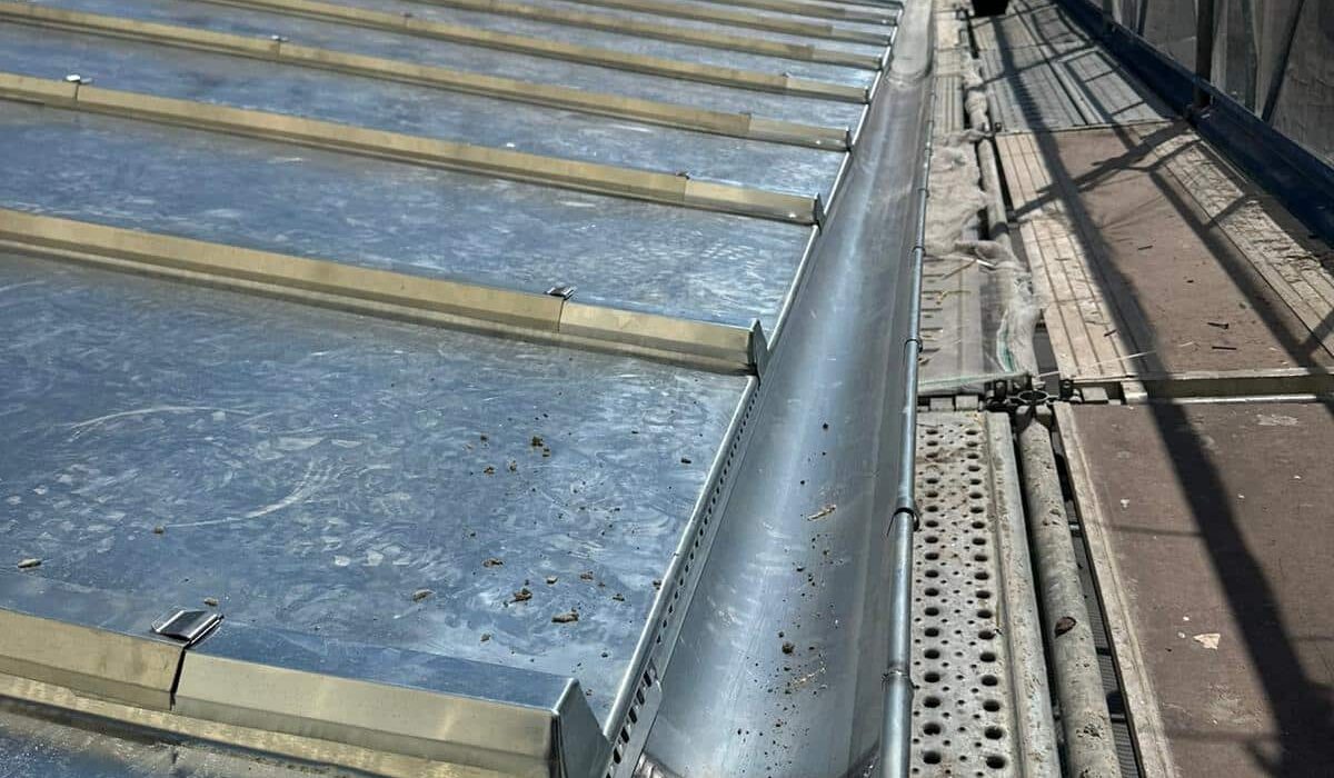 Gouttière et toit-terrasse en rénovation.