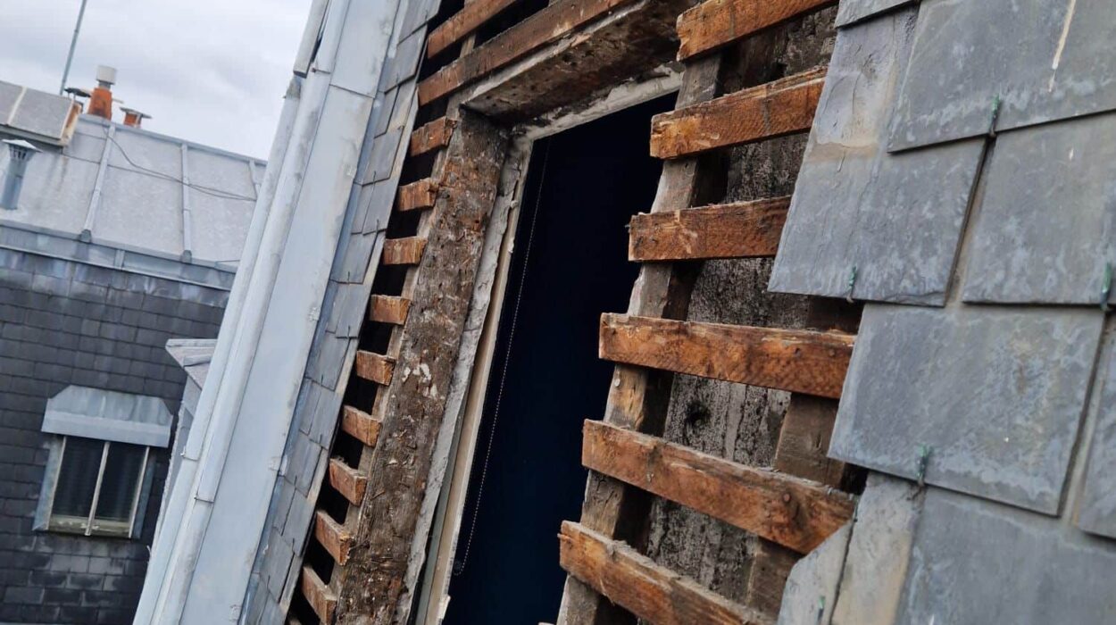 Rénovation de toiture en ardoise et bois